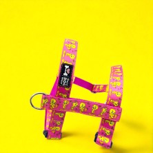 Szelki norweskie/Guard Tweety