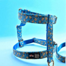 Szelki norweskie/Guard Minionki 2