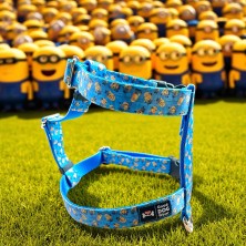 Szelki norweskie/Guard Minionki 2