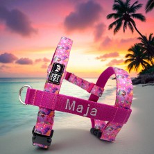 Szelki norweskie/Guard Arielka