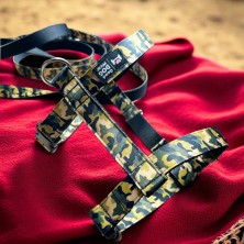 Szelki norweskie/Guard Moro 2