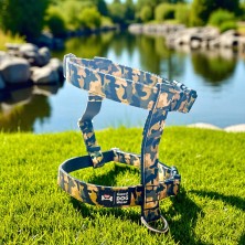 Szelki norweskie/Guard Moro 2