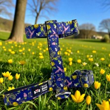 Szelki norweskie/Guard Ptaki i cytryny