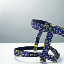 Szelki norweskie/Guard Ptaki i cytryny