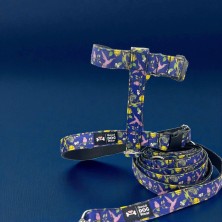 Smycz Ptaki i cytryny