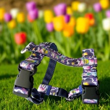 Szelki norweskie/Guard Bratki