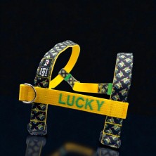 Szelki norweskie/Guard Star Wars 3