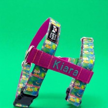 Szelki norweskie/Guard Król Lew