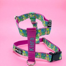 Szelki norweskie/Guard Król Lew