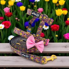 Szelki norweskie/Guard Kwiaty 2