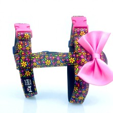 Szelki norweskie/Guard Kwiaty 2