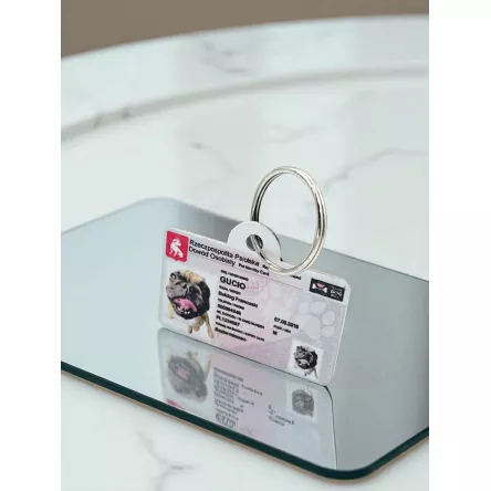 Adresówka dowód osobisty ID