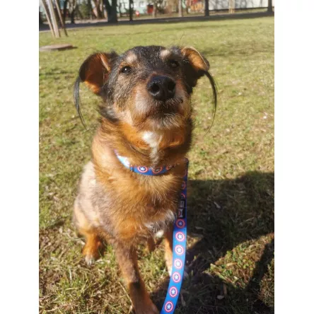 Smycz Kapitan Ameryka 3