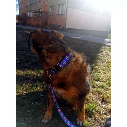 Obroża Kapitan Ameryka 3