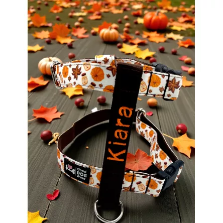 Szelki norweskie/Guard Pumpkin Spice