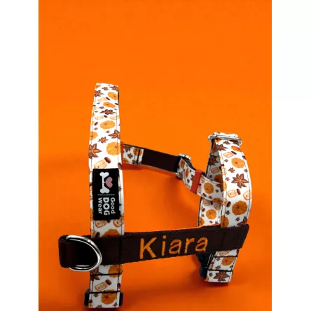 Szelki norweskie/Guard Pumpkin Spice