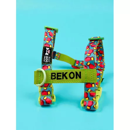 Szelki norweskie/Guard Boks