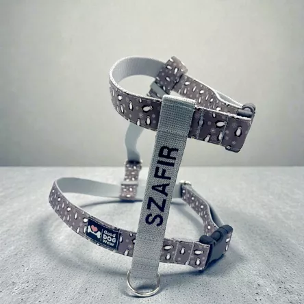 Szelki norweskie/Guard Pingwiny zima