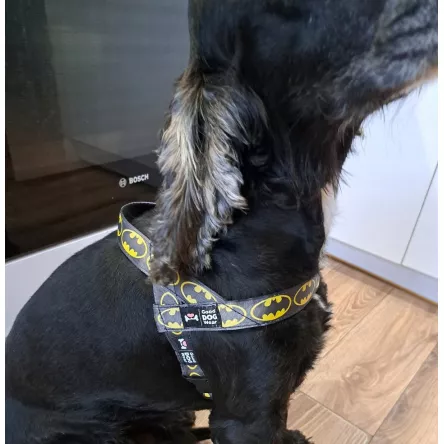 Szelki norweskie/Guard Batman logo