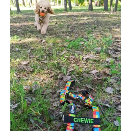 Szelki norweskie/Guard Lego