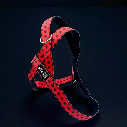 Szelki norweskie/Guard Spiderman pająk