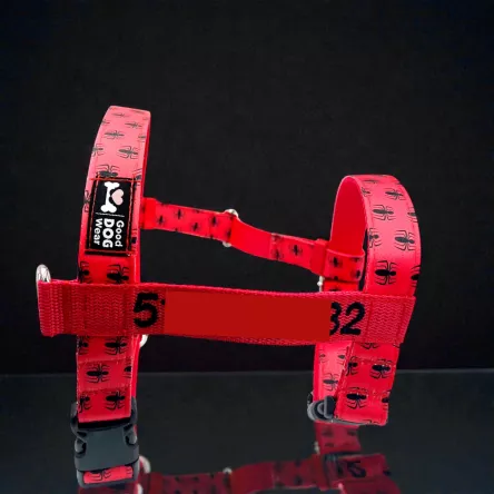 Szelki norweskie/Guard Spiderman pająk