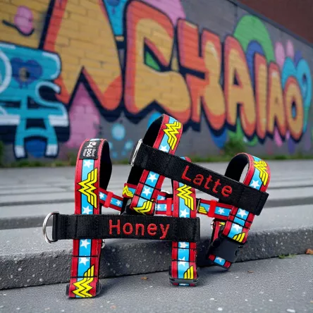 Szelki norweskie/Guard Wonder Woman