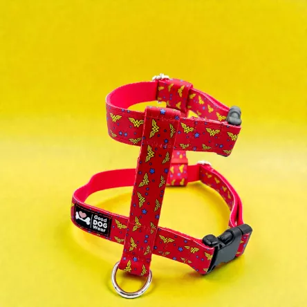 Szelki norweskie/Guard Wonder Woman 2