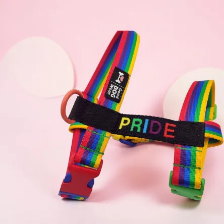 Szelki PRIDE tęcza