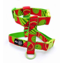 Szelki norweskie/Guard Arbuz Sweet