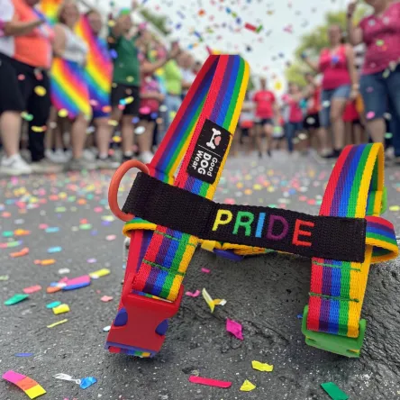 Szelki PRIDE