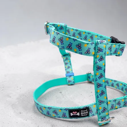 Szelki Stitch