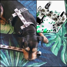 Szelki norweskie/Guard Jeżyk