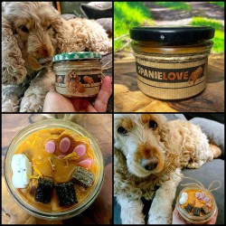 Świeca RASY PSÓW w słoiku