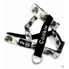 Szelki norweskie/Guard Jeżyk