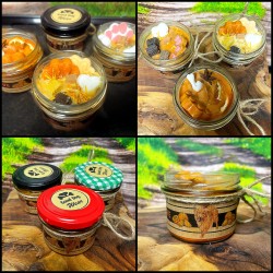 Świeca RASY PSÓW w słoiku