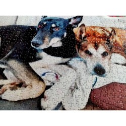 Puzzle z Twoim zdjęciem - fotopuzzle różne rodzaje