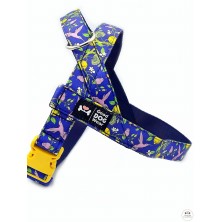 Szelki norweskie/Guard Ptaki i cytryny