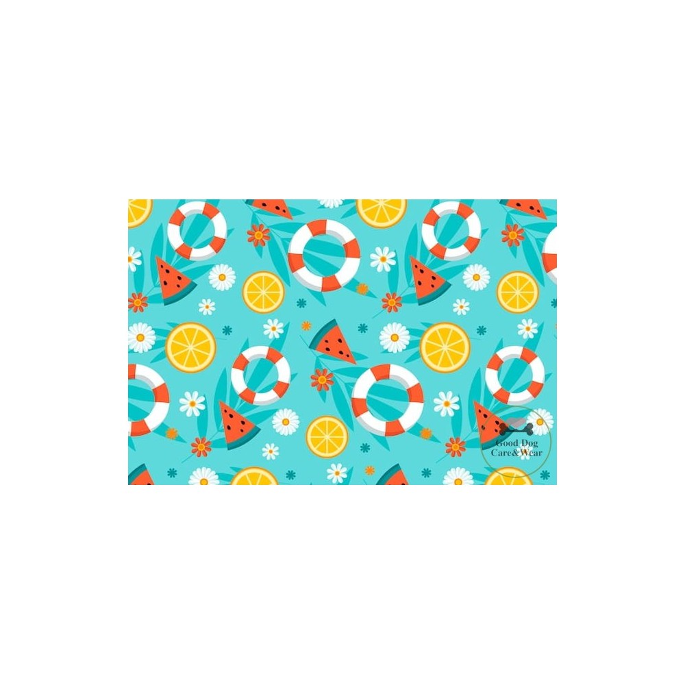 Szelki norweskie/Guard Na plaży