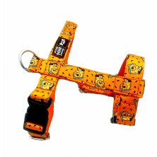 Szelki norweskie/Guard Flinstones