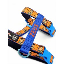 Szelki norweskie/Guard Flinstones