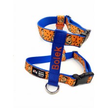 Szelki norweskie/Guard Flinstones