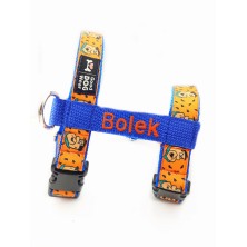 Szelki norweskie/Guard Flinstones