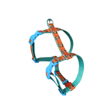 Szelki norweskie/Guard Flinstones