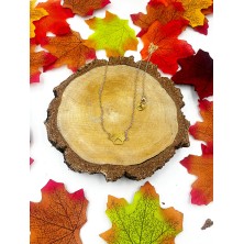 Naszyjnik psia łapka złota/srebrna