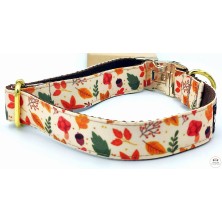 Obroża jesień w lesie