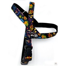 Szelki norweskie/Guard Jesienny las