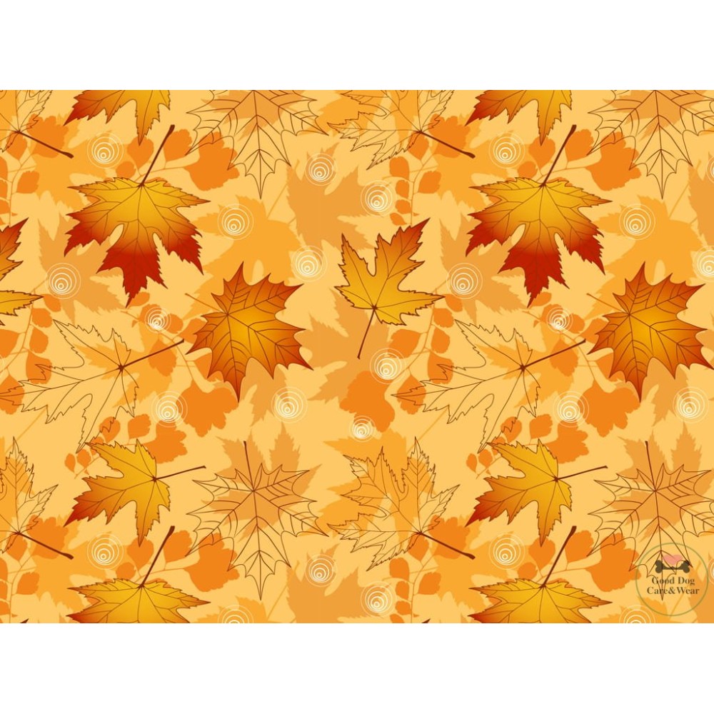 Obroża  Jesienne liście