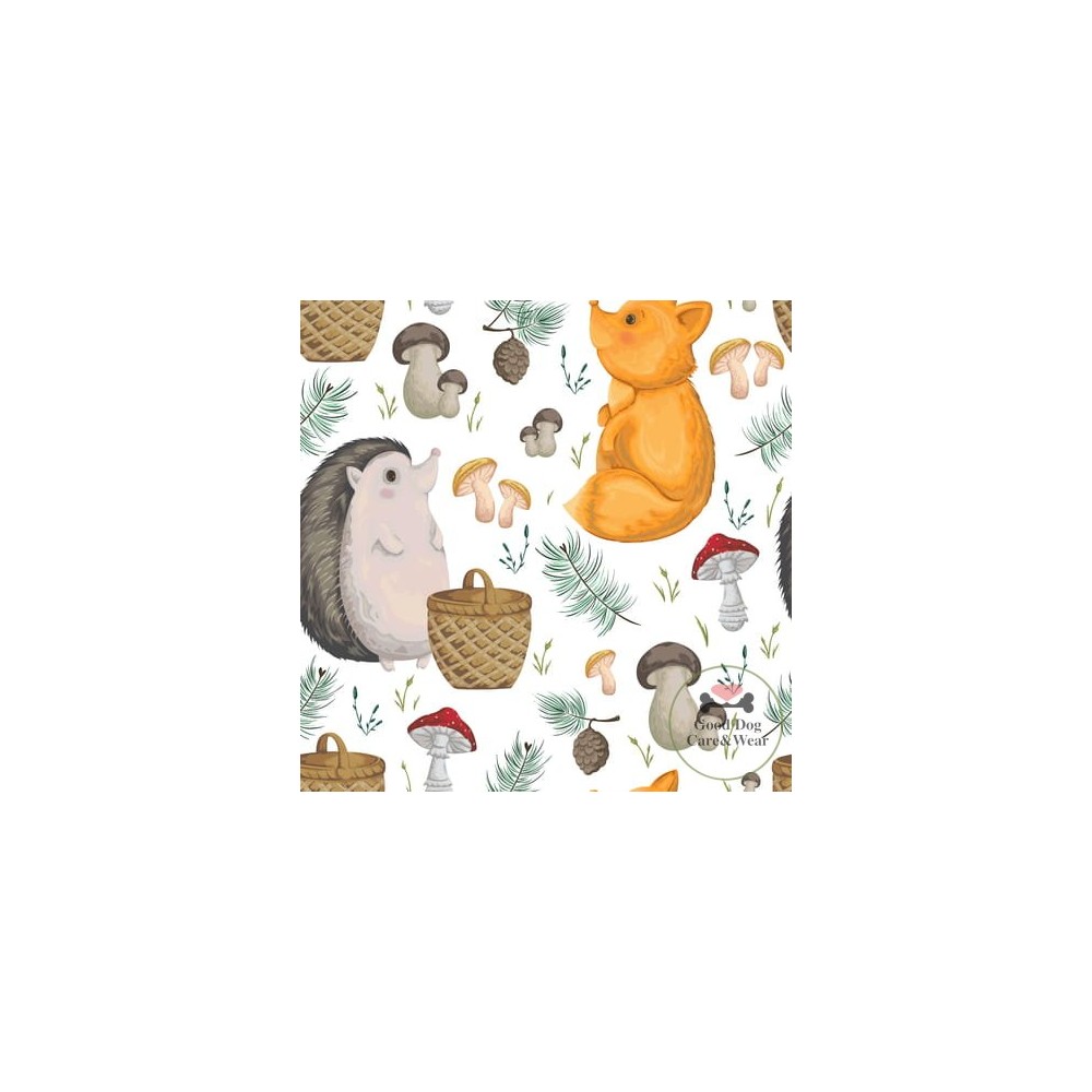 Smycz Jeżyk w lesie