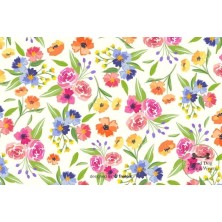 Szelki norweskie/Guard...